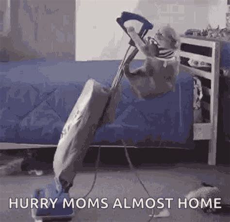 gif for cleaning|funny cleaning gif.